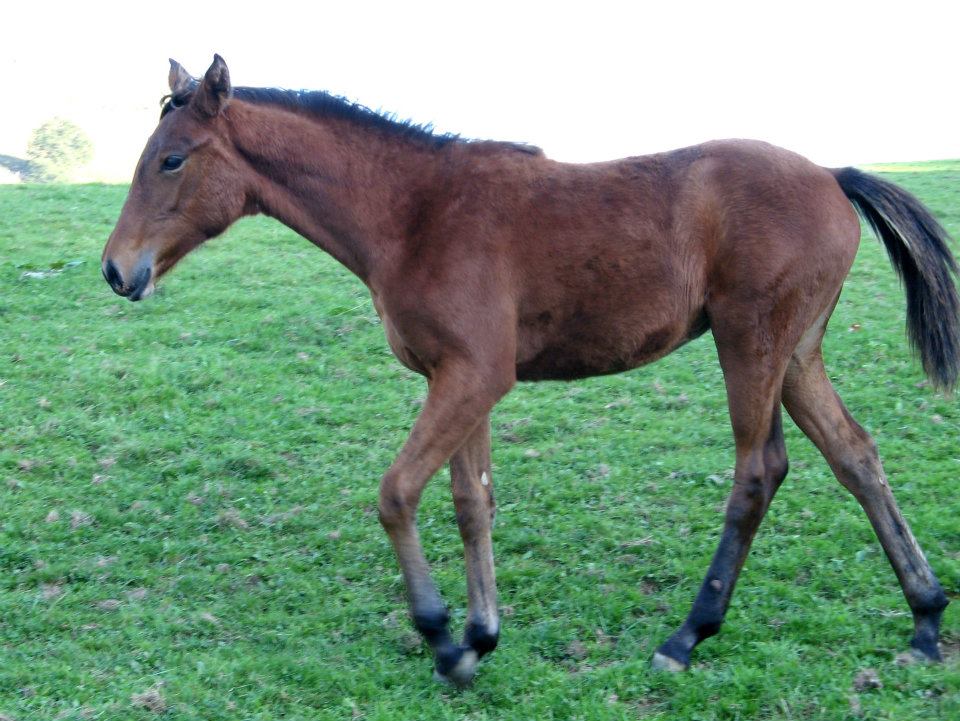 310452_10150413990967456_2021188296_n